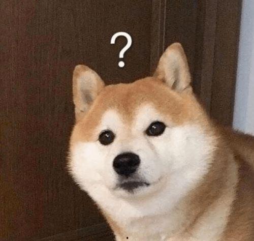 呆狗看爆料视频是真的吗,真相揭秘还是虚假炒作? 第1张 呆狗看爆料视频是真的吗,真相揭秘还是虚假炒作? 第1张