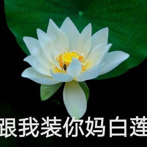 网红忘川吃瓜,揭秘娱乐圈背后的秘密与真相 第1张 网红忘川吃瓜,揭秘娱乐圈背后的秘密与真相 第1张